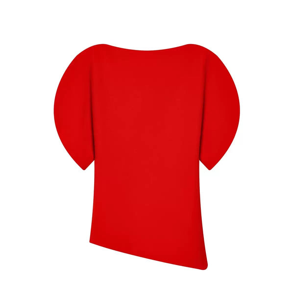 Ichelle puff sleeve asymmetry top