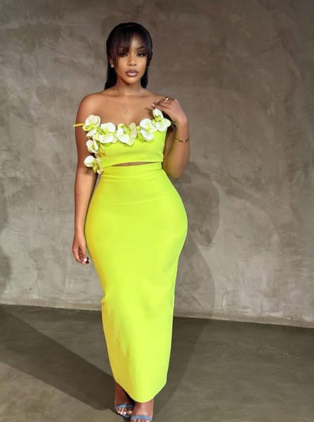 Selbie bandage skirt set
