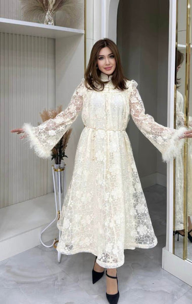 Jessyca embroided lace dress