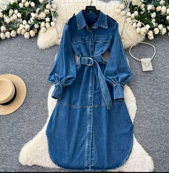 Folawe denim dress