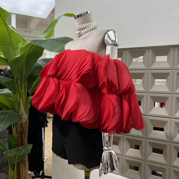 Kayo off shoulder crop top