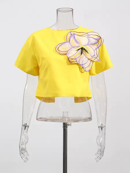 Devon floral embroidered skirt set