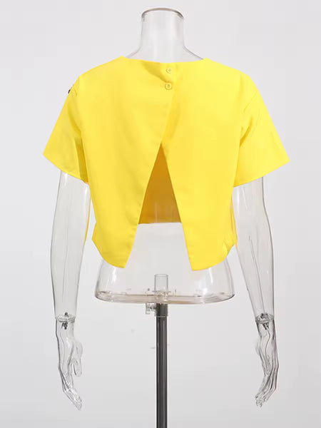 Devon floral embroidered skirt set