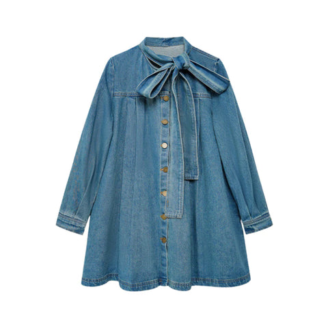 Aylayla denim dress