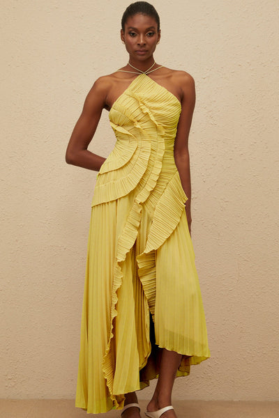 Shelia Ruffled Trim pleated Midi Dress