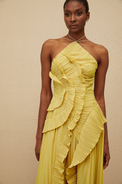 Shelia Ruffled Trim pleated Midi Dress