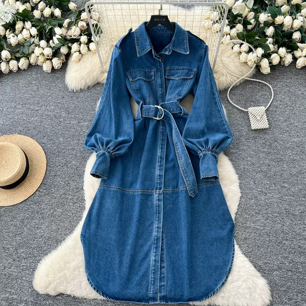 Folawe denim dress
