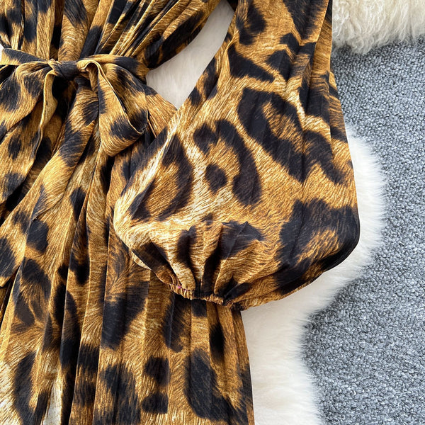 Idai leopard print dress