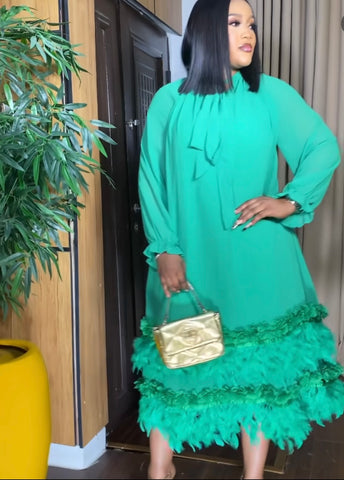 Charleigh feather  dress