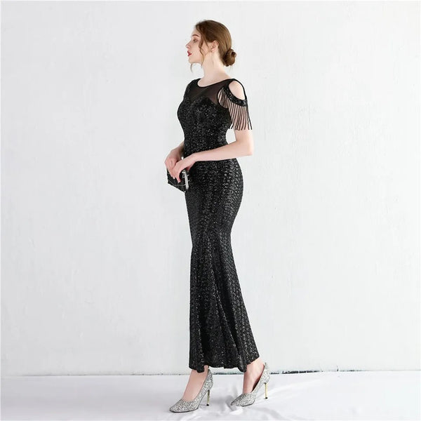 Shavani Mesh Sequin Dress