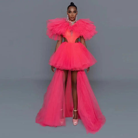 Seanna 2 piece Tutu dress