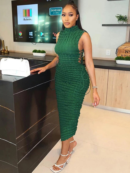 Francett Sleeveless Bodycon turtleneck dress