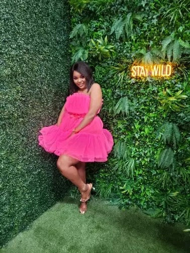 Orianna Mesh Ball Gown Mini Dress