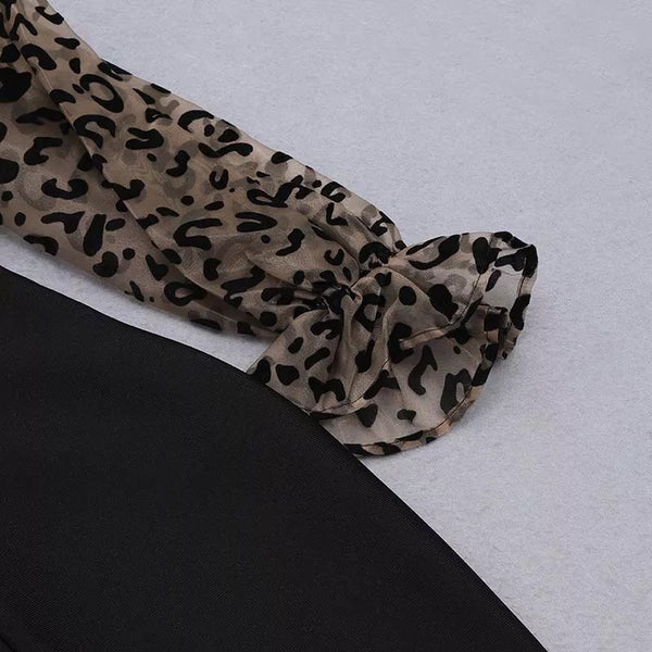 Caylie Leopard Print Sleeve dress